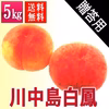 川中島白鳳 5kg 贈答用