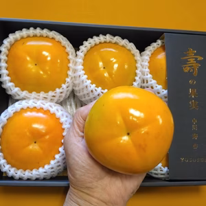 ＃再購入チャンス　甘柿『太秋柿』　5L ・６個入　化粧箱入り