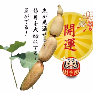 先が見通せる！芽が出る！開運れんこんとお得なパウダーセット