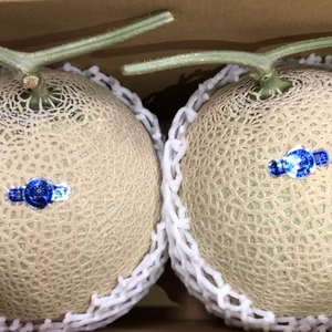 長生きマスクメロン®︎(2個入り化粧箱)