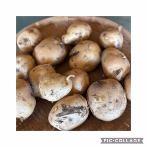 この味を知ってしまうと、もう他のじゃが芋は口にできないっす☆彡