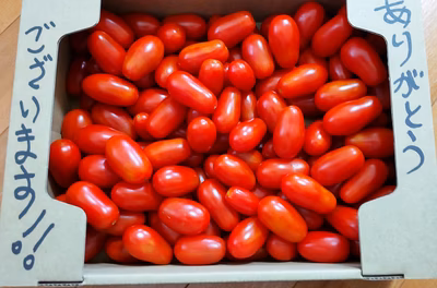 みんなの投稿の画像