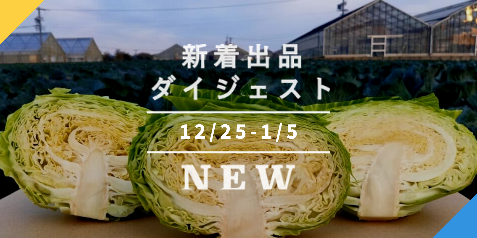 バックナンバー ポンカンの旬がきたよ 今週のおすすめ新着出品 2021年1月8日編 農家漁師から産地直送の通販 ポケットマルシェ
