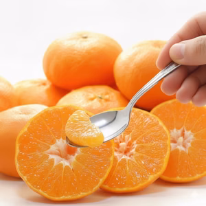 【愛媛門外不出の幻柑橘】三大高級柑橘『甘平』香り控えめで甘み爆発お試し約1㎏