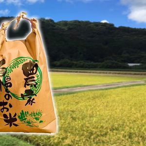 令和5年産　早期水稲コシヒカリ 5kg