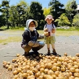 市川 桂 | 市川農園