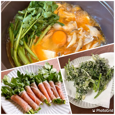 みんなの投稿の画像