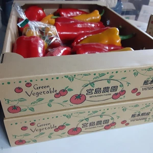 【shbadaimon様限定】フルーツパプリカ1.5kg+おまけ付(ミニトマト)