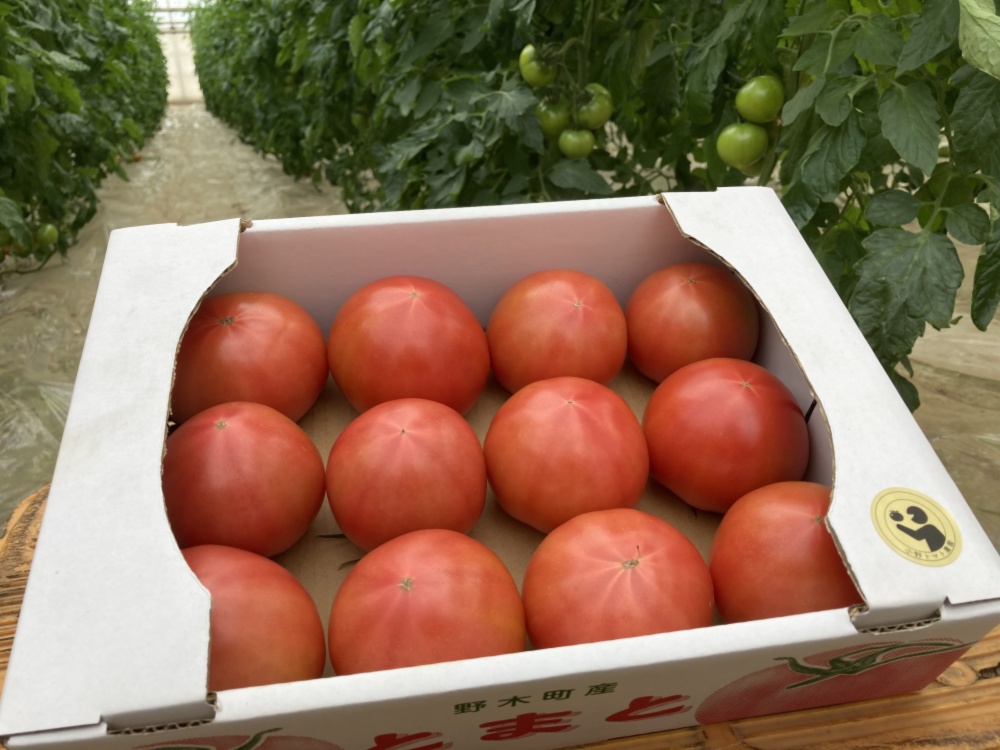 土のチカラ 大玉トマト麗容 力 リキ 農家漁師から産地直送の通販 ポケットマルシェ