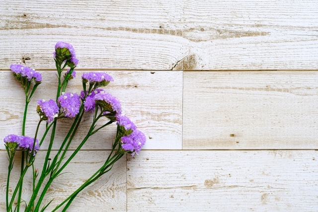 ハイブリッドスターチス❣️薄紫系 〈No.15〉 スターチス 紫色 15本～20本｜花（切花・鉢花）の商品詳細