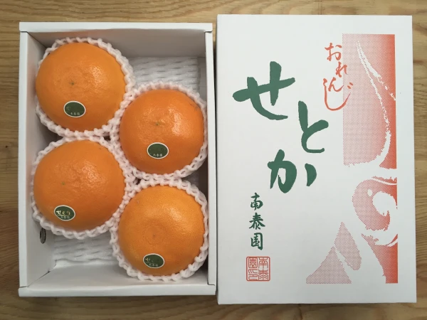 ハーフ化粧箱】『柑橘の大トロ』ハウスせとか厳選4玉入（約1kg）｜果物