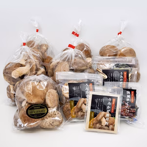 うみかぜ椎茸A品＆乾燥品セット