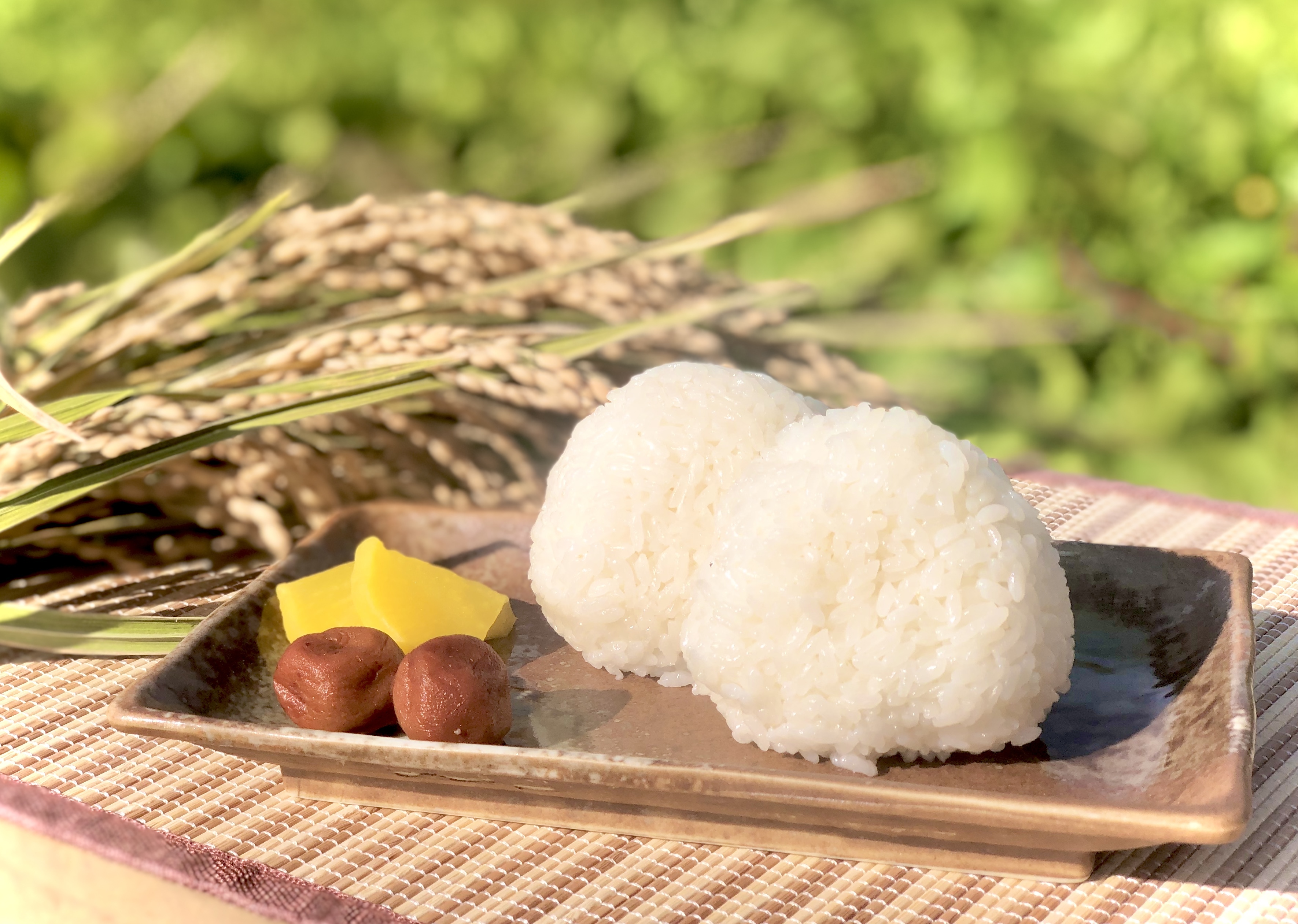 特別栽培 一等米✨あきたこまち[新米]〔無洗米/上白米/分づき/玄米/選べます〕 あきたこまち無洗米2kg