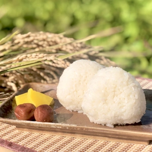 【月１回定期】特別栽培米✨あきたこまち〔無洗米/上白米/分づき/玄米/選べます〕
