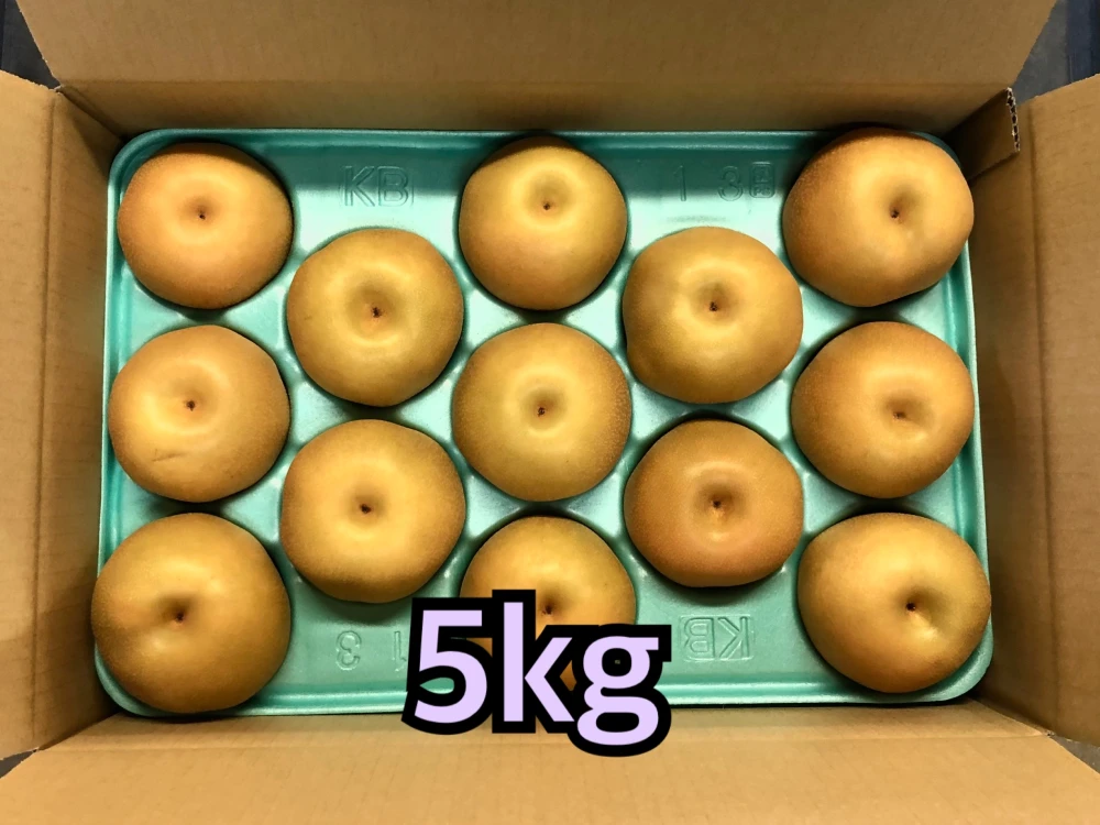 梨　豊水　長野県産　良品‼️約5kg