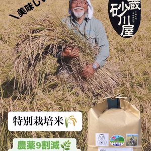 【特別栽培米】鹿野のさくら姫米　コシヒカリ 3kg