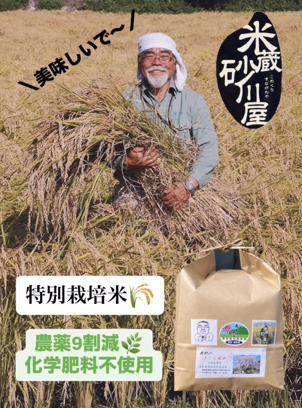 【特別栽培米】鹿野のさくら姫米　コシヒカリ 3kg