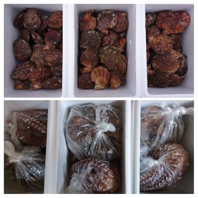 みんなの投稿の画像