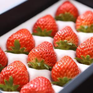 【全国いちご選手権銀賞受賞！】《贈答》樹上完熟美作苺400gギフト