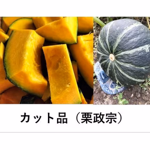 栗政宗＜カット品＞★ホクホクかぼちゃの北の覇者