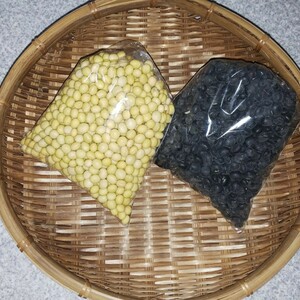 無農薬 無肥料 自然栽培で育った大豆と黒大豆。各500g