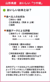 本当においしいつや姫 2kgx4袋 特別栽培米 無洗米 令和6年山形産