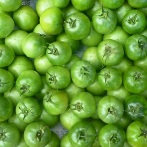 夏の力＊青トマト2ｋｇ～ピクルスに、炒め物に良し！農薬/化学肥料・不使用