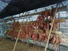伊東農園のシルクスイート(3kg)上品な甘さのサツマイモ!