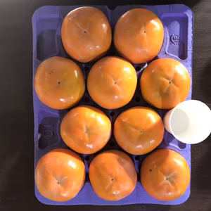 秋の味覚‼️富有柿3Lサイズ10個入り⭐️岐阜県糸貫産