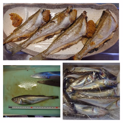 みんなの投稿の画像