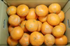 【農薬不使用】無農薬有田みかん　完熟その２