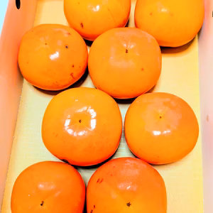 【送料割引】和歌山限定品種『紀州てまり』　(家庭用) 　2kg