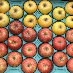 限定3箱！超ミニりんご❗️3品種詰合せ♪名月、はるか、サンふじ 28個