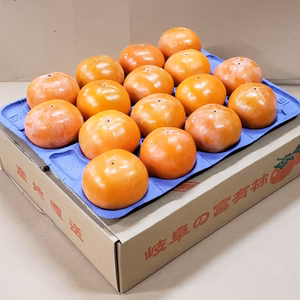 【岐阜県産】お買得用・富有柿 Mサイズ