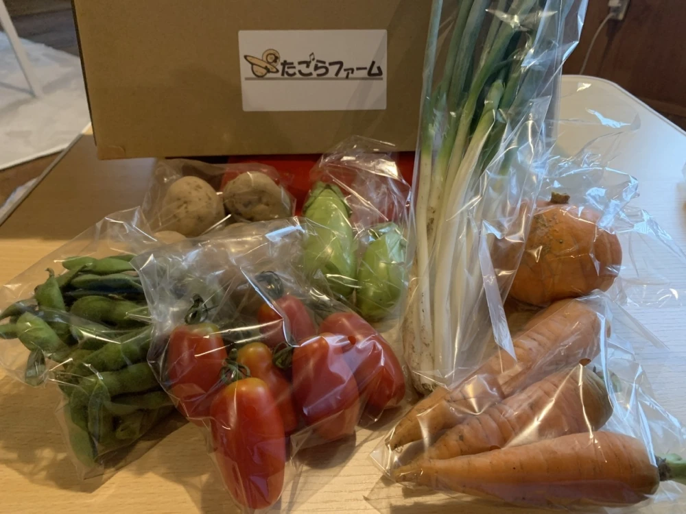 奥出雲産自然栽培野菜セット