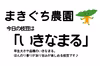 枝豆　いきなまる（B品規格外）