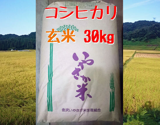 コシヒカリ 玄米 30kg【R４年産】金沢いやさか米｜米・穀類の商品詳細