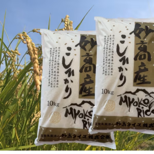 【新登場！10kg×2販売開始】令和6年　妙高産コシヒカリ10kg×2