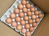 みたぼら農園の平飼い有精卵
