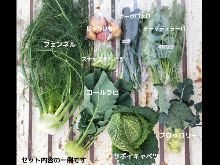 ☆朝採れブロッコリー☆コンパクトいっぱい☺️ - 野菜