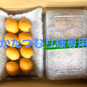 【初夏の味覚】大澤農園の枇杷(8パック)かたつむり様専用