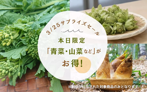 旬のサプライズセール！  青菜、山菜etc...200円オフ