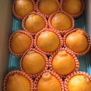 特売価格❣️残り20箱❗️露地栽培かわいい小玉デコ2、5k13玉✖︎2箱