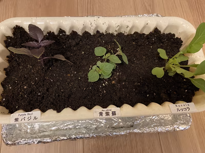 みんなの投稿の画像