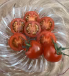 6月のこすず♪てっちゃんの完熟ミニトマト朝採り農園直送便
