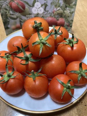 みんなの投稿の画像