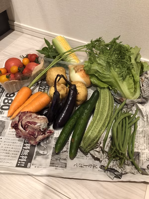 みんなの投稿の画像