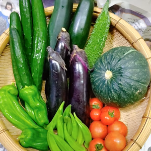 【定期便】日常使用する野菜を中心とした季節の野菜セット