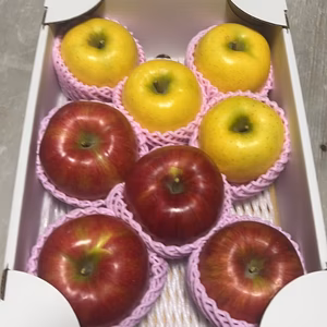 限定３セットギフト秋果実3種詰め！超大玉シナノゴールドシナノスイートラフランス