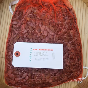 カボチャのたね(食用)天日乾燥のみ